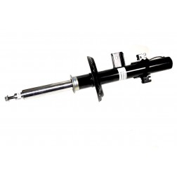 Ammortizzatore Dynamic LH Posteriore LR024440 LR044682 LR051491 LR056267 LR063740 LR079420 ** Vedi Info **