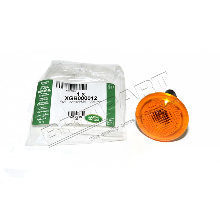 Indicatore di direzione laterale per Renault Clio Espace Kangoo Laguna